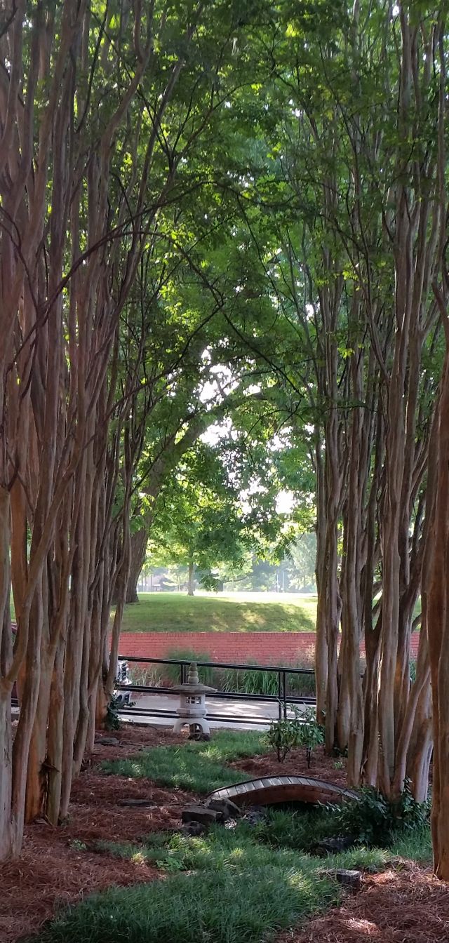 Meditation garden