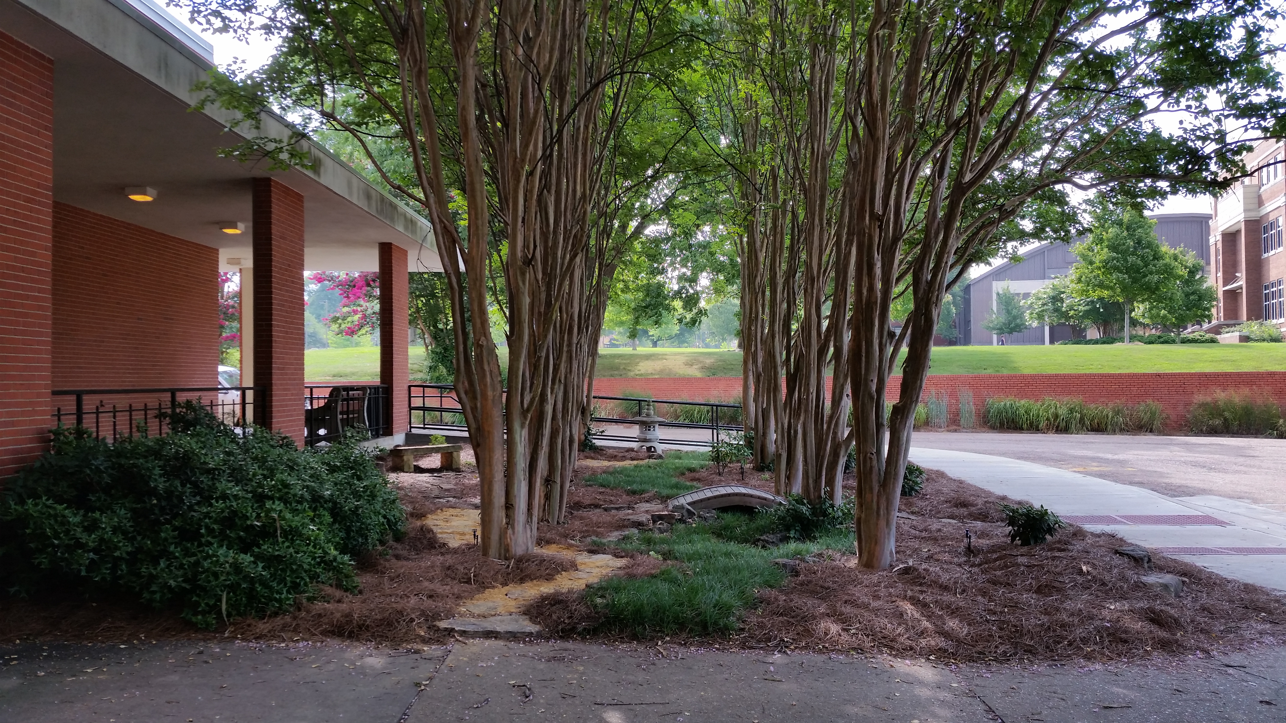 MSU Dorman Hall Gardens - Butterfly Garden