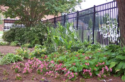 Shade Garden